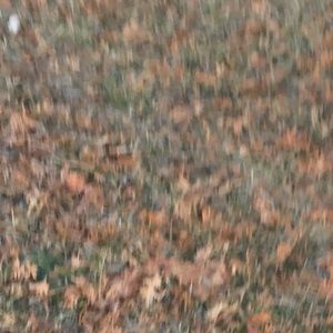 Meet your Posher, Alison